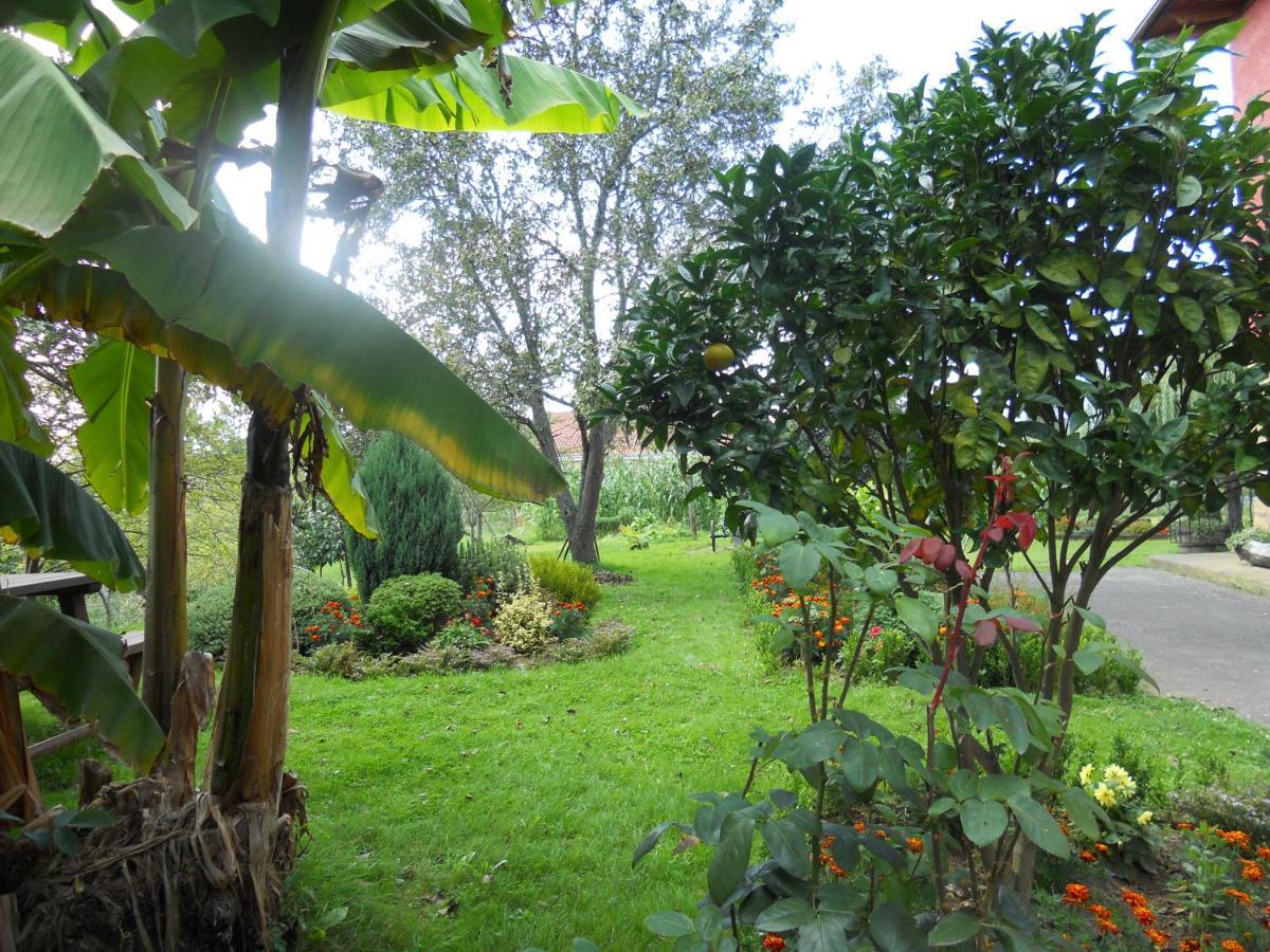 Casa Rural El Jondrigu กังกัส เด โอนิส ภายนอก รูปภาพ